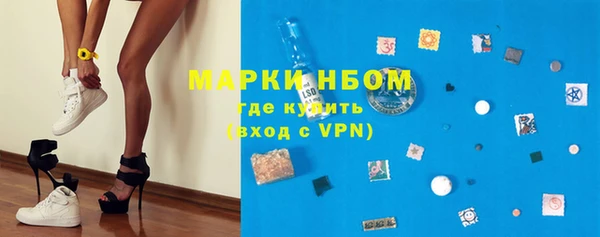 стаф Арсеньев