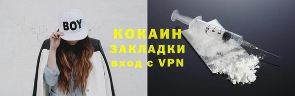 стаф Арсеньев