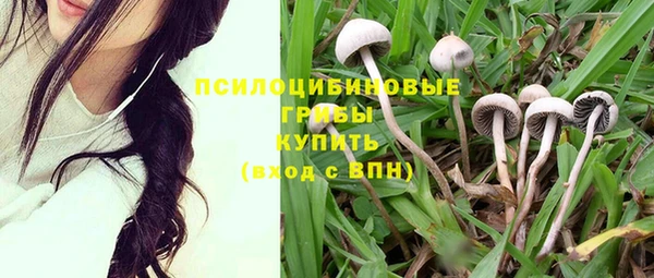 стаф Арсеньев