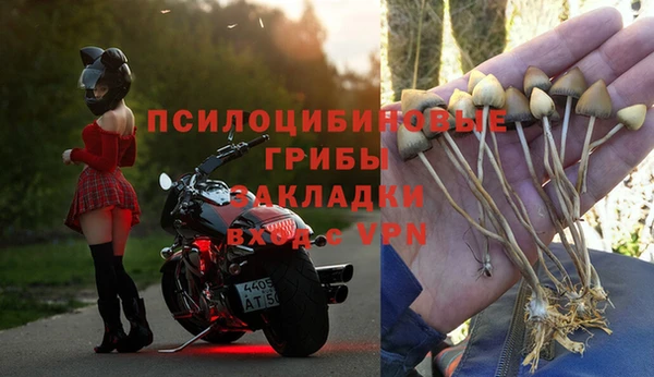 стаф Арсеньев