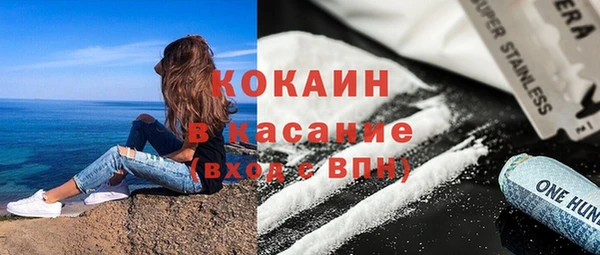 стаф Арсеньев