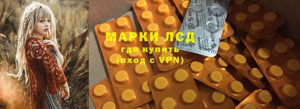 стаф Арсеньев