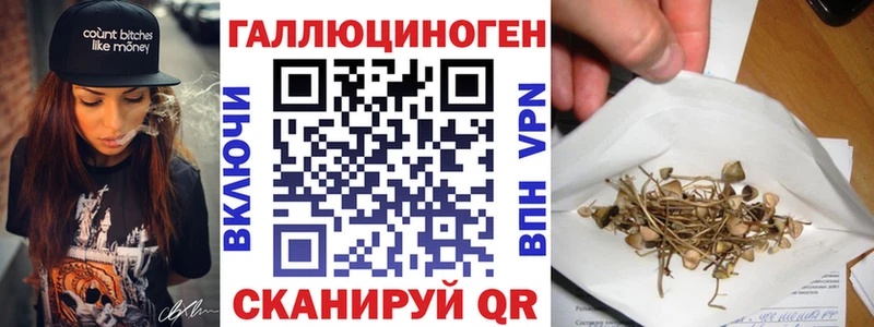 Псилоцибиновые грибы мицелий  Кирово-Чепецк 