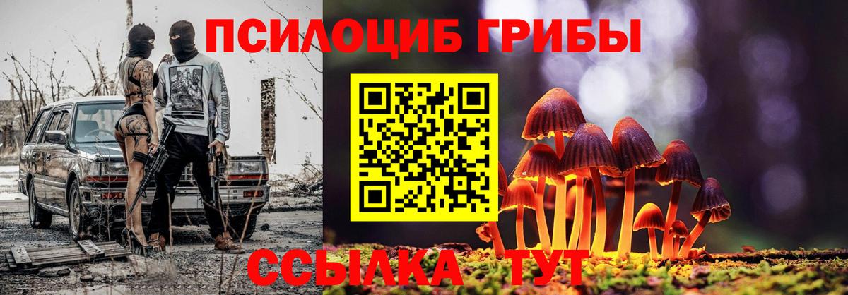 Псилоцибиновые грибы прущие грибы Кирово-Чепецк